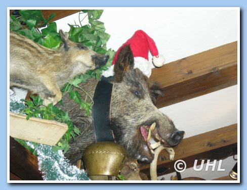 Weihnachtssau Wildmoosalm